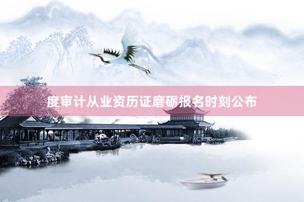 度审计从业资历证磨砺报名时刻公布
