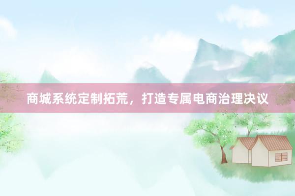 商城系统定制拓荒，打造专属电商治理决议