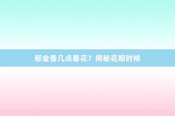 郁金香几点着花？揭秘花期时候